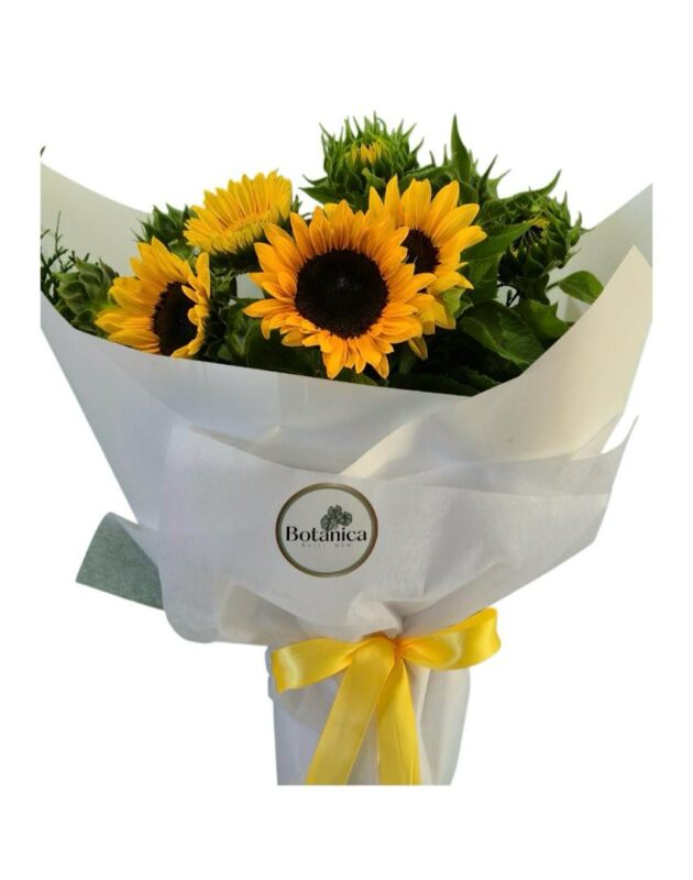 Sunny Surprise