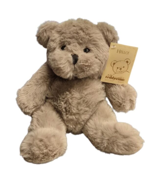 Brown  Teddy Time Quality  Plush  ( 20 cm )