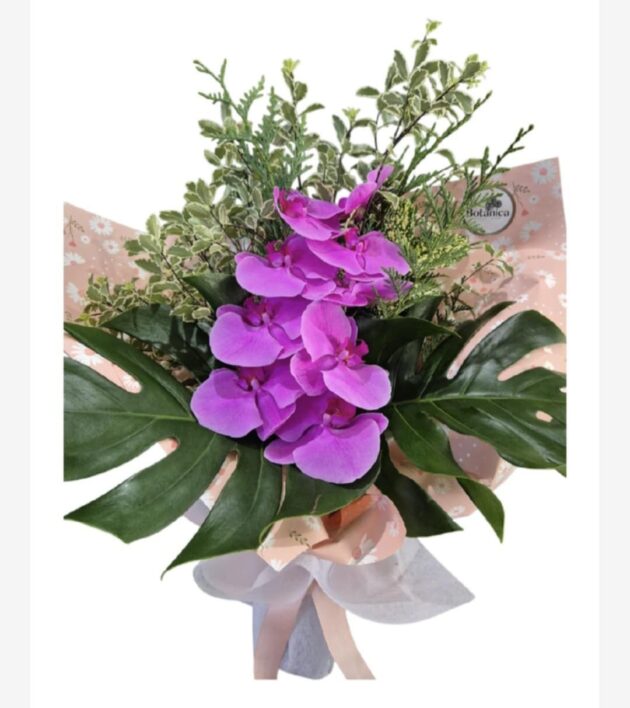 Orchid Paradise
