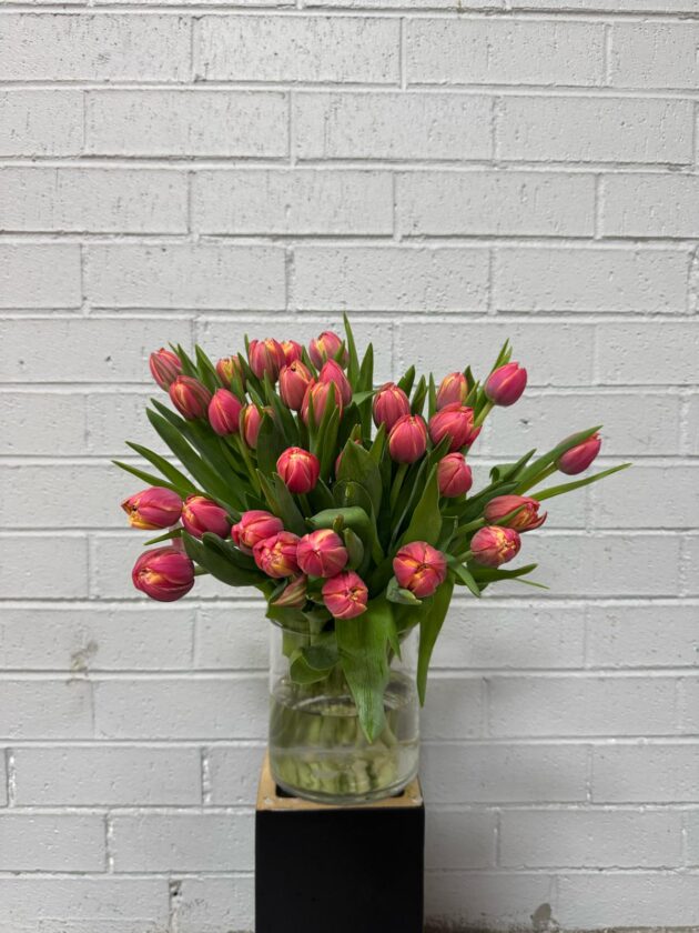 tulipa en masse